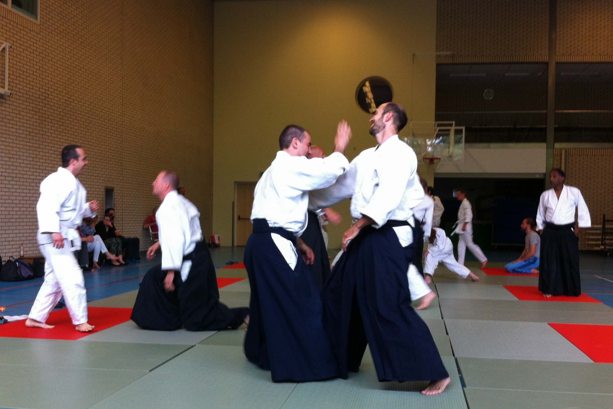 Aikido Centrum Rotterdam Examendag 2015 d.d. 28-6-2015